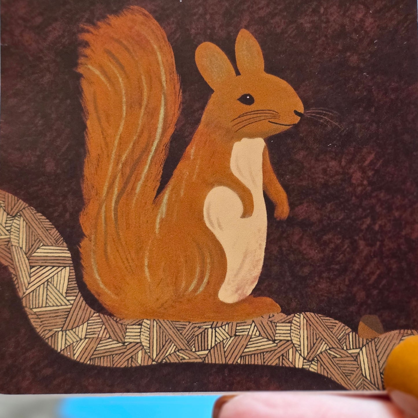 Sticker, Squirrel on Branch, Vinyl, 3 Inch Square