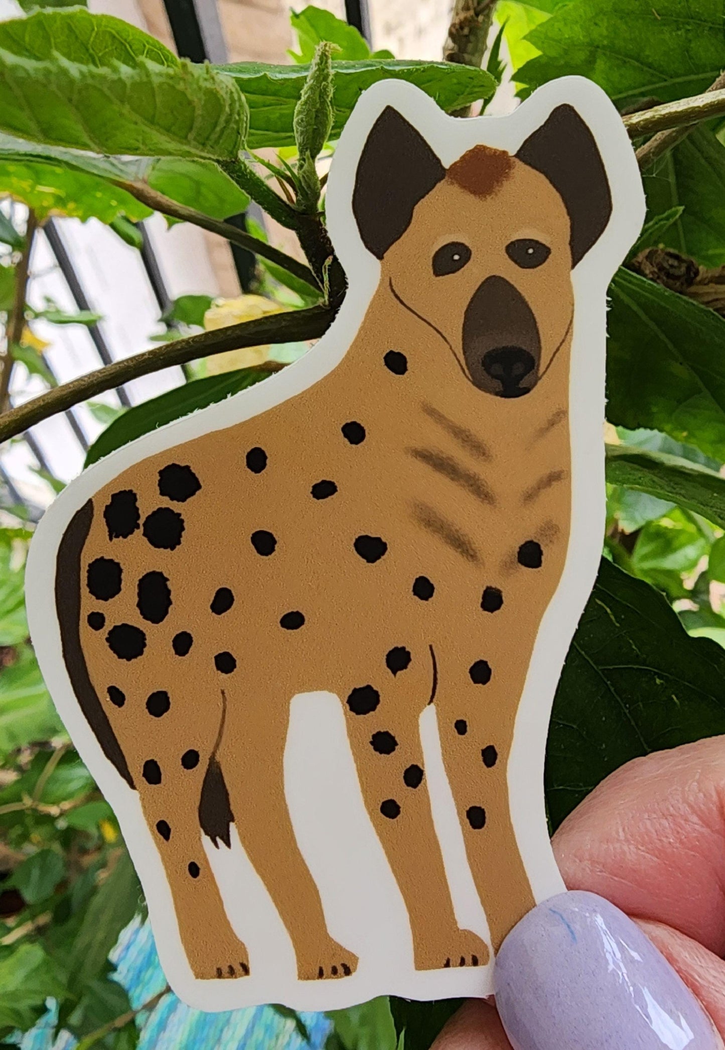 Sticker, Hyena Design, Vinyl, 3 Inches