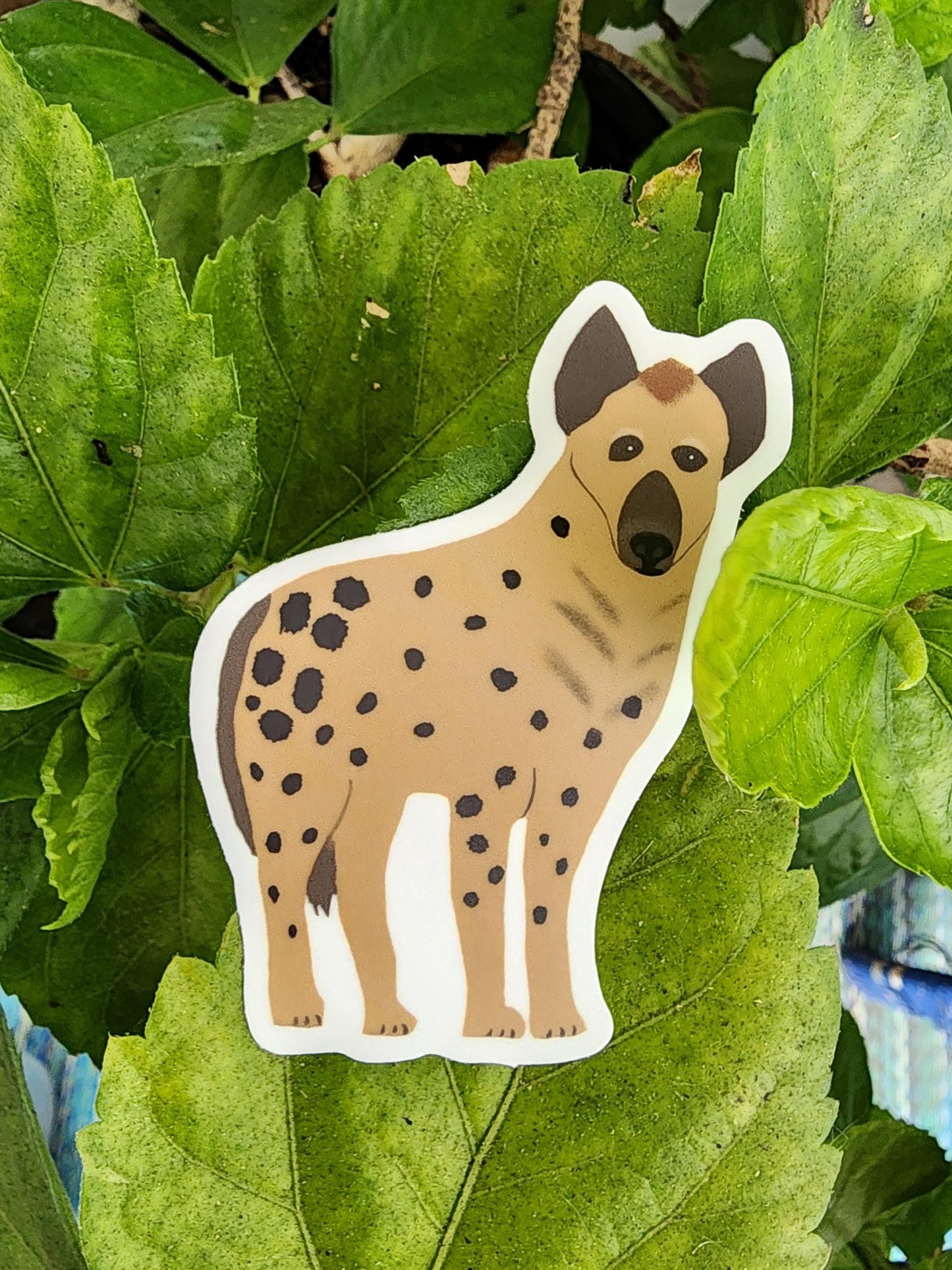 Sticker, Hyena Design, Vinyl, 3 Inches