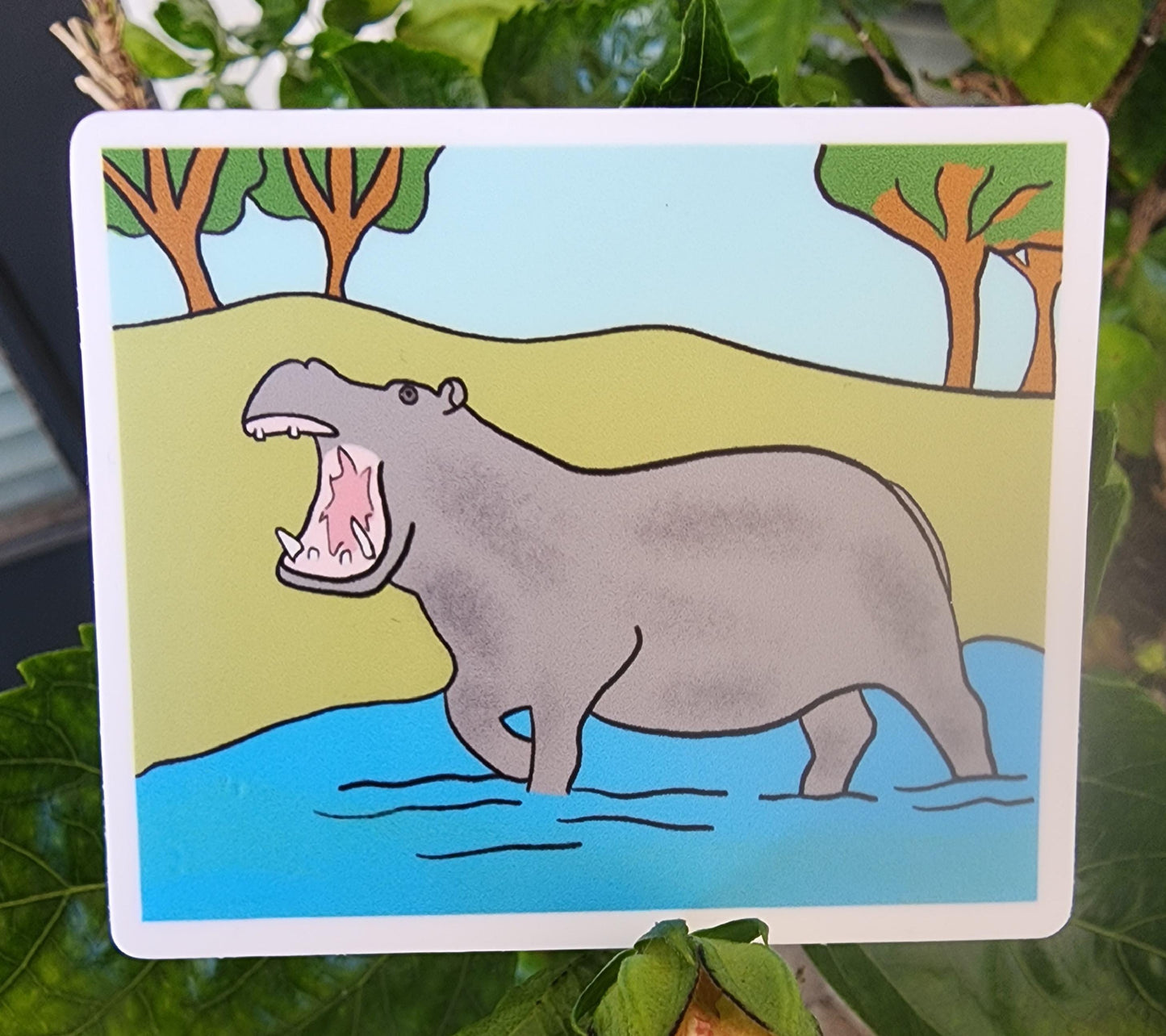 Sticker, Hippo in Water, Vinyl, Rectangle, 3 x 2.5 Inches