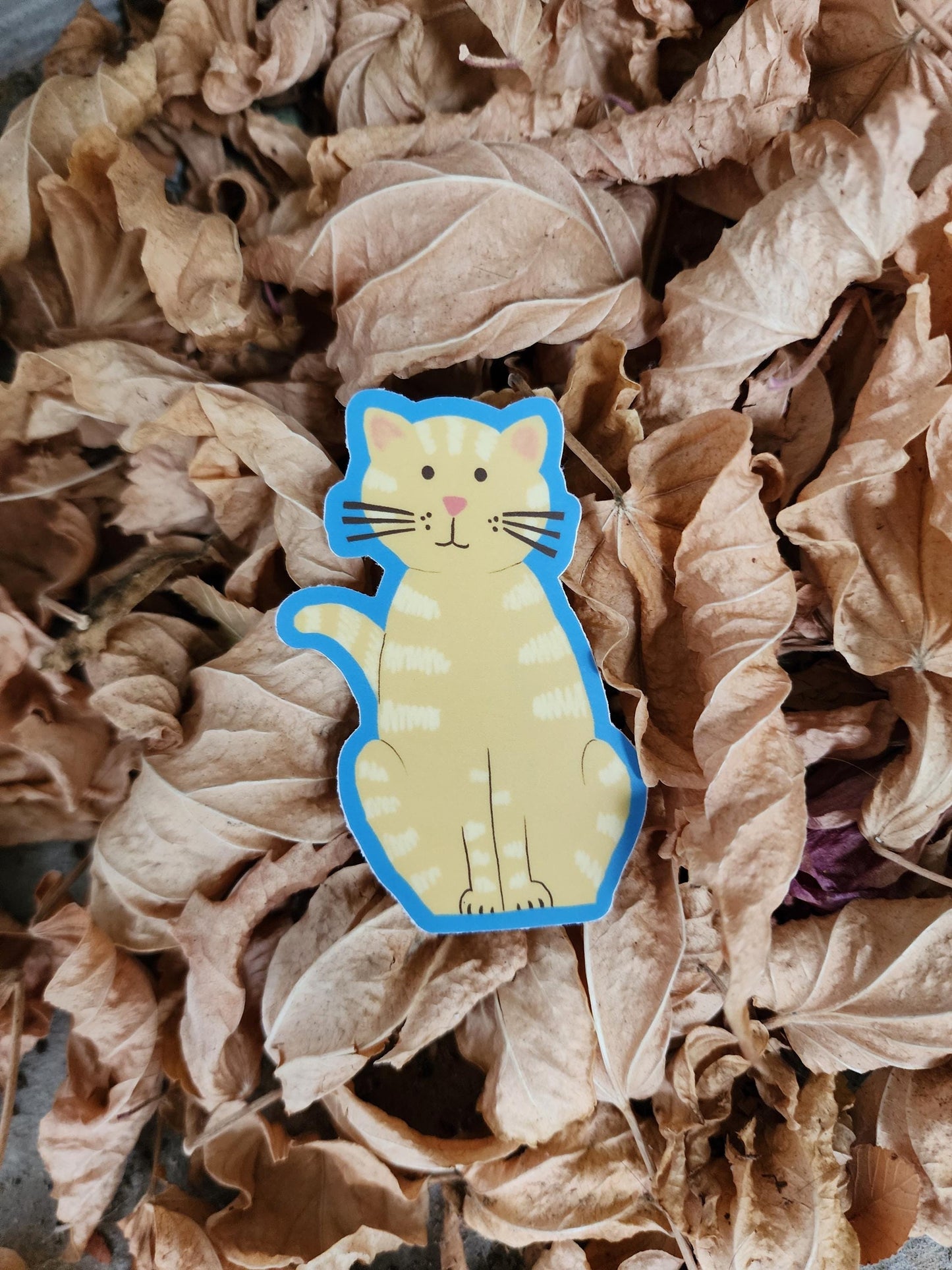 Sticker, Tan Tabby Cat With Blue Border, Vinyl, Die-Cut, 3 Inches