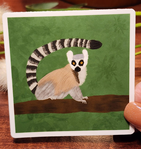 Sticker, Ring-Tailed Lemur Design on Green, Vinyl, 3 Inch Square