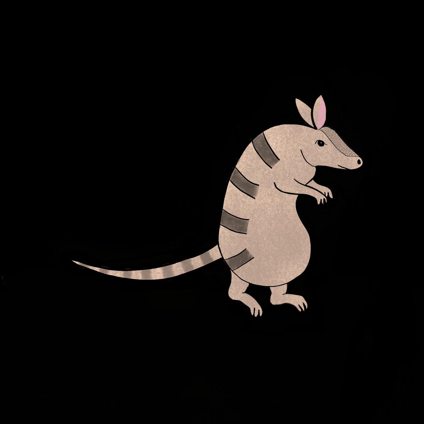 Sticker, Armadillo Creeping Design, Vinyl, 2 Inches