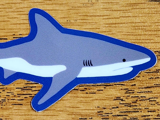 Bull Shark Sticker: Marine Life Vinyl Decal (3 inch)