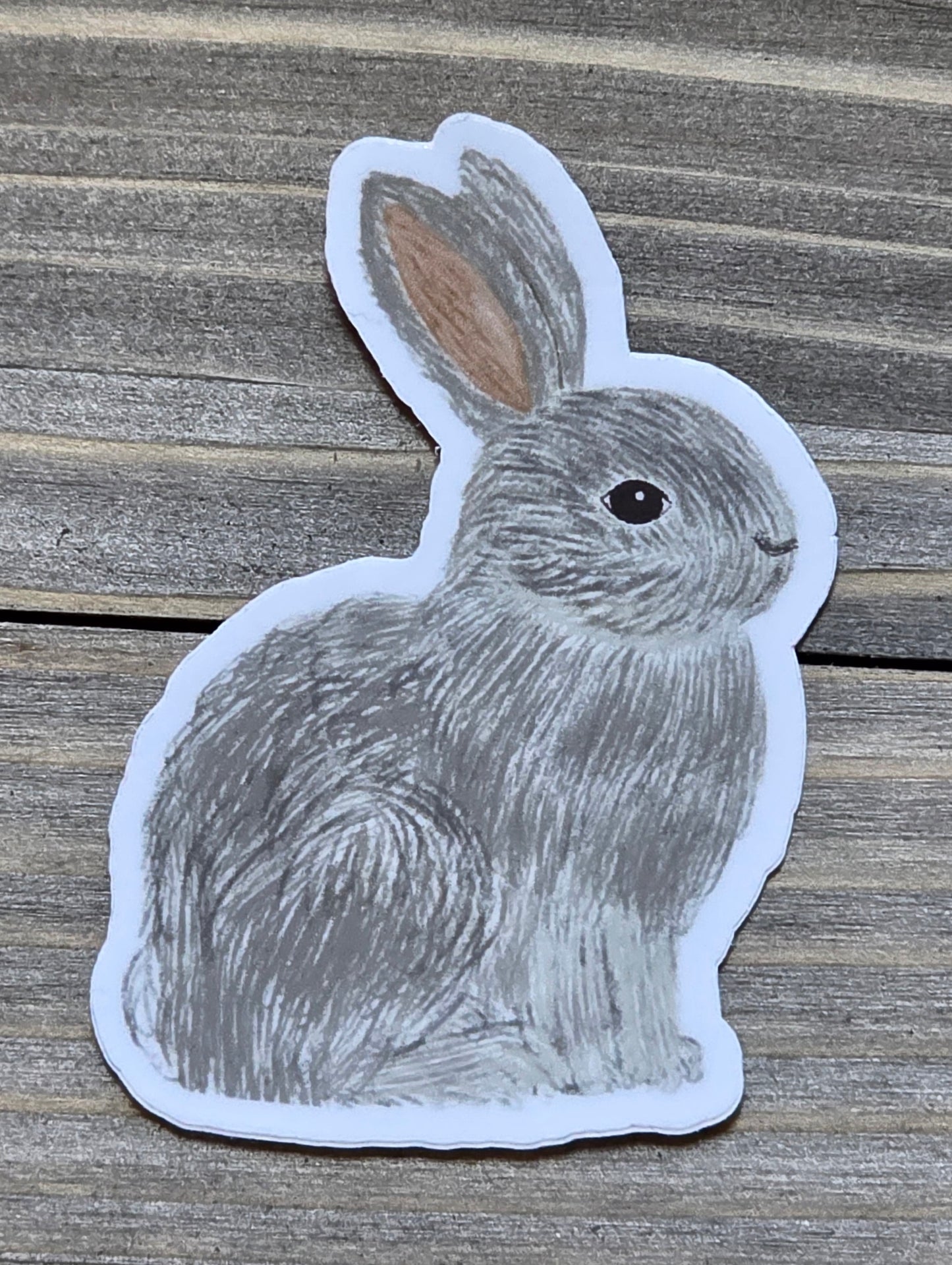 Sticker, Grey Bunny Sitting, Vinyl, Die-Cut, 3 Inch