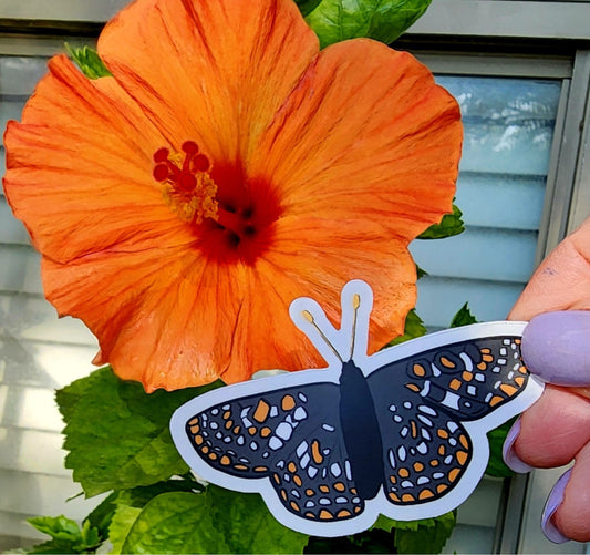 Sticker, Butterfly Design, Taylor's Checkerspot, Vinyl, Die-Cut, 3 Inches