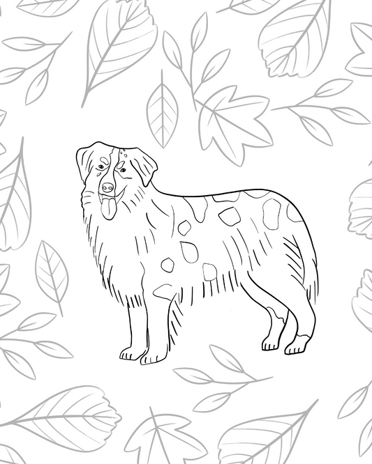 Australian Shepherd Coloring Page - Freebie!