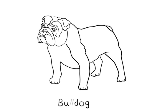 Bulldog Coloring Page - Freebie!