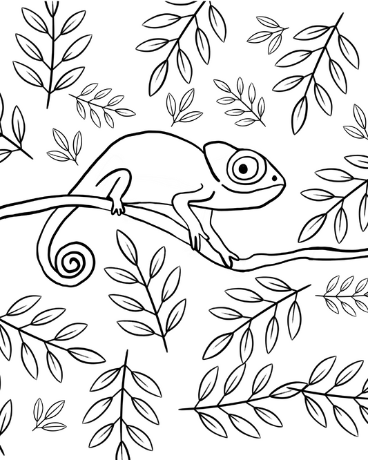 Chameleon Coloring Page - Freebie!