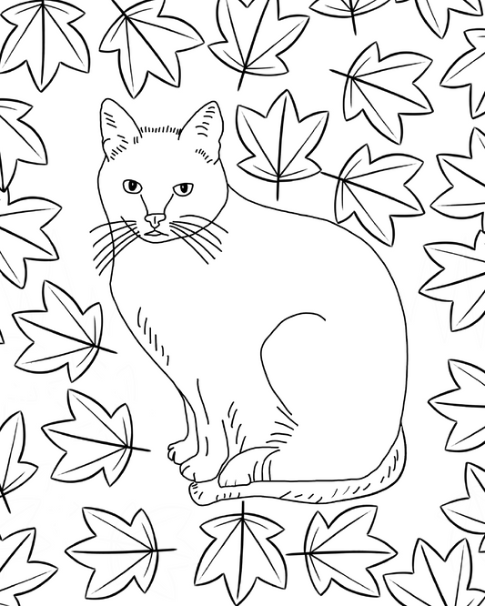 Cat Coloring Page - Freebie!