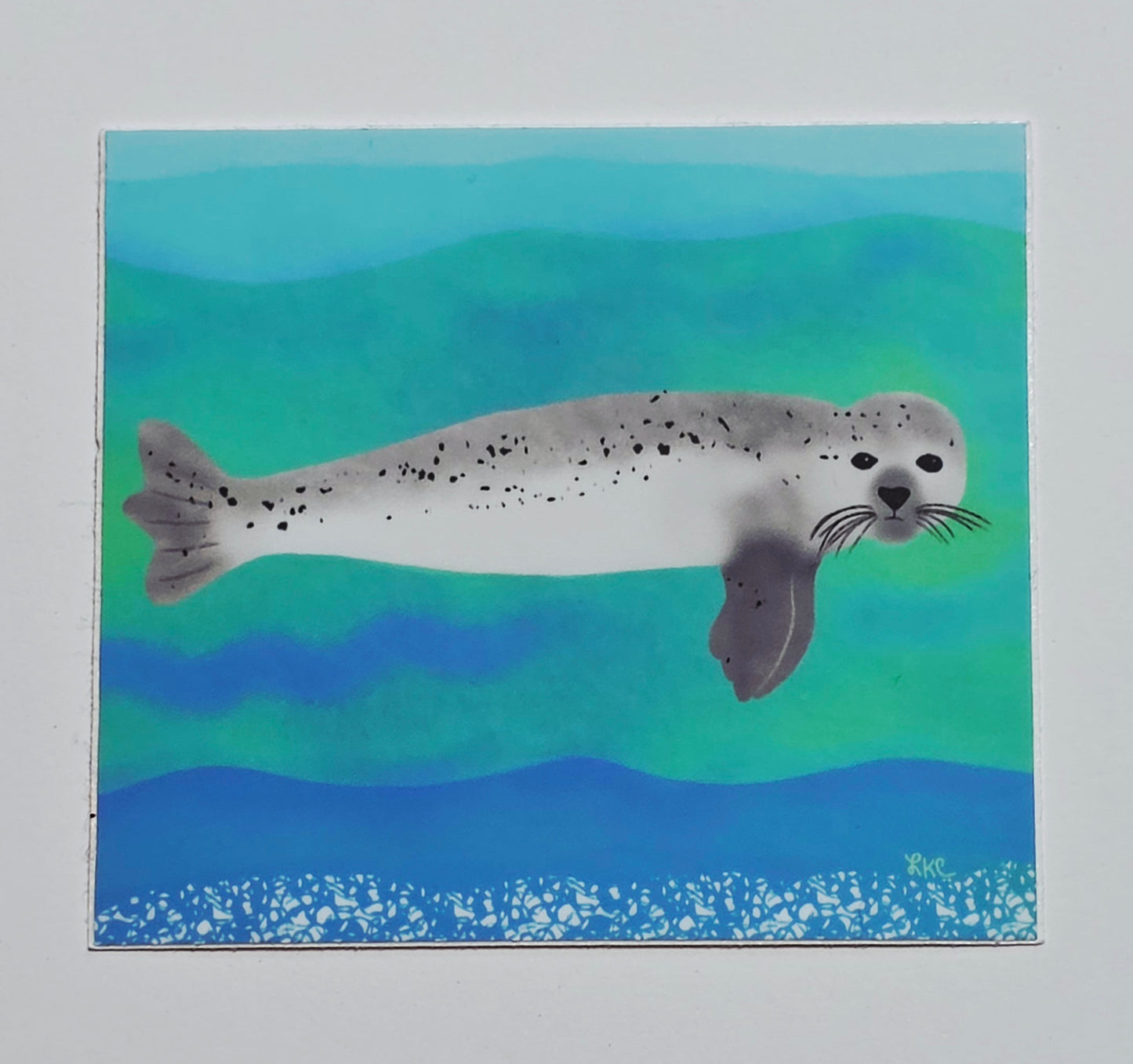 Sticker, Mediterranean Monk Seal, Die-Cut or Square Seal in Water, Vinyl, 3 Inches