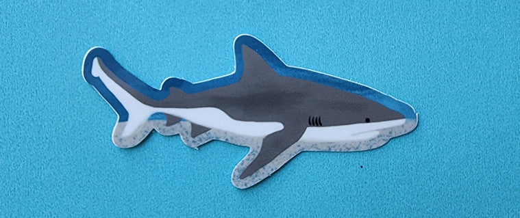 Bull Shark Sticker: Marine Life Vinyl Decal (3 inch)