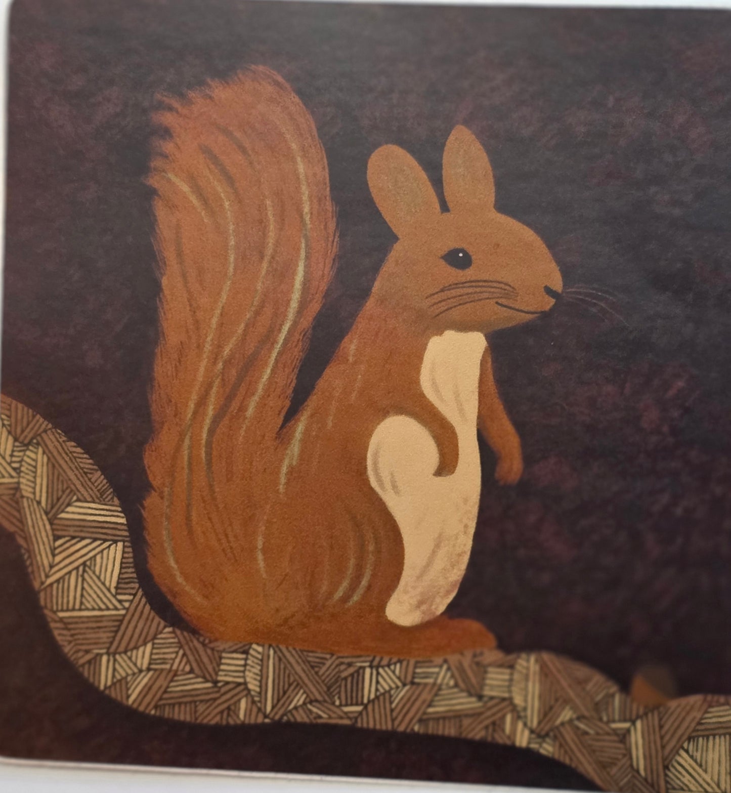 Sticker, Squirrel on Branch, Vinyl, 3 Inch Square