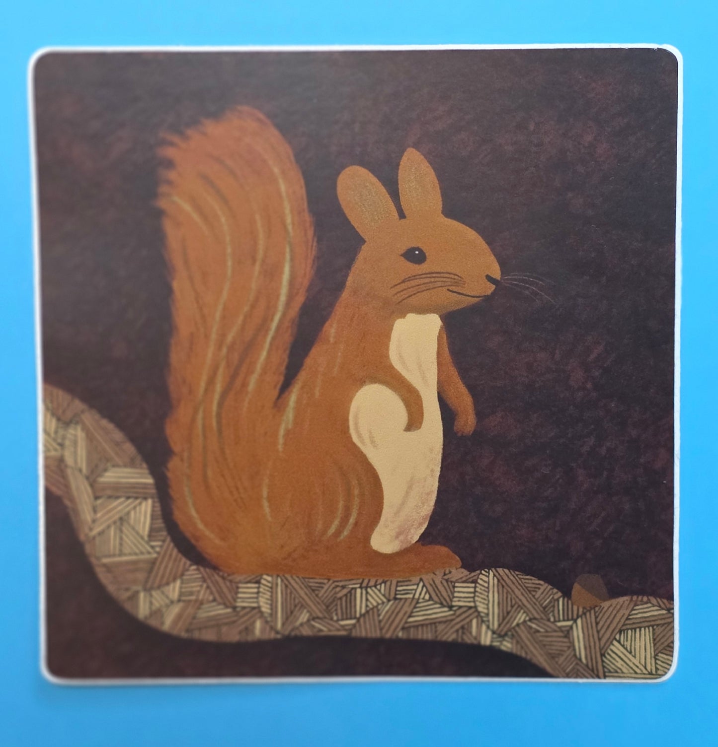 Sticker, Squirrel on Branch, Vinyl, 3 Inch Square