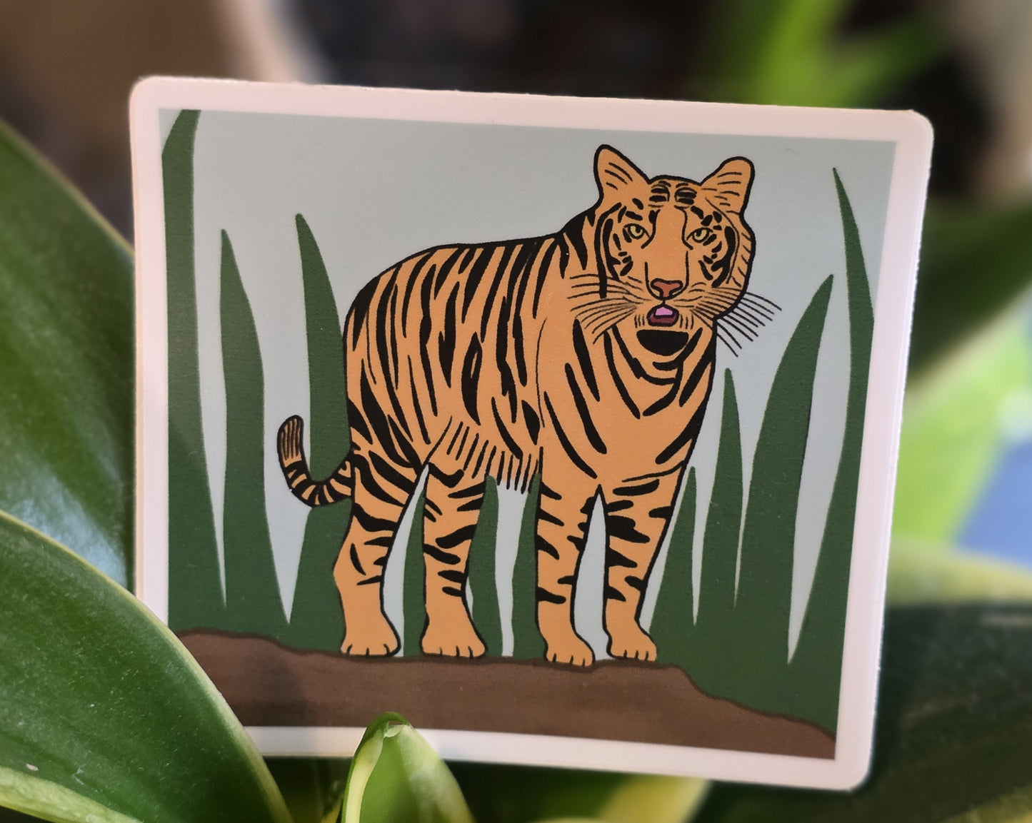 Tiger Sticker in Grassland, Square Vinyl Water-proof