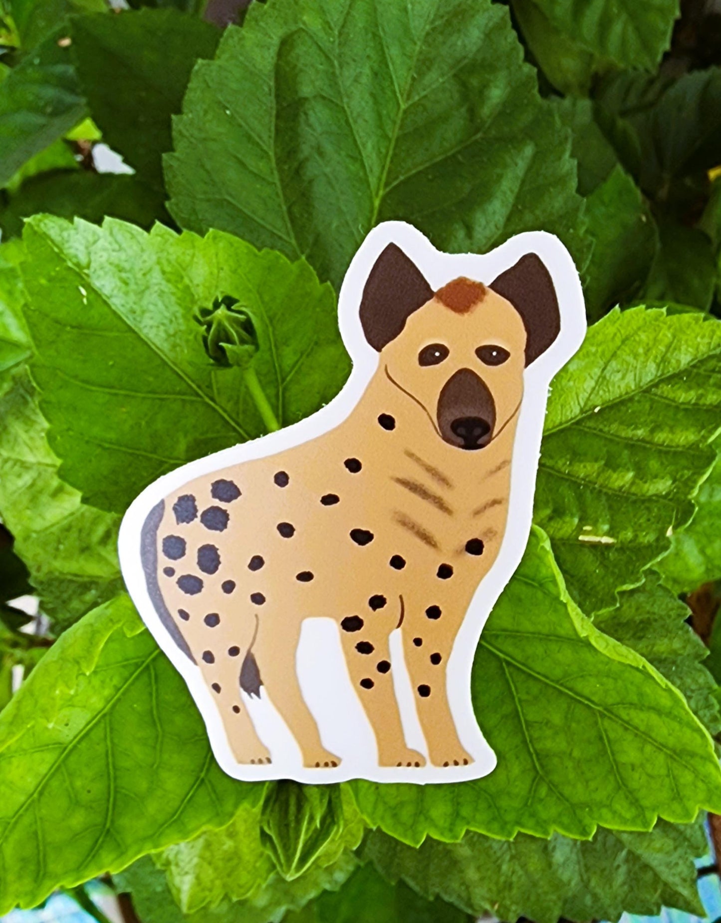 Sticker, Hyena Design, Vinyl, 3 Inches