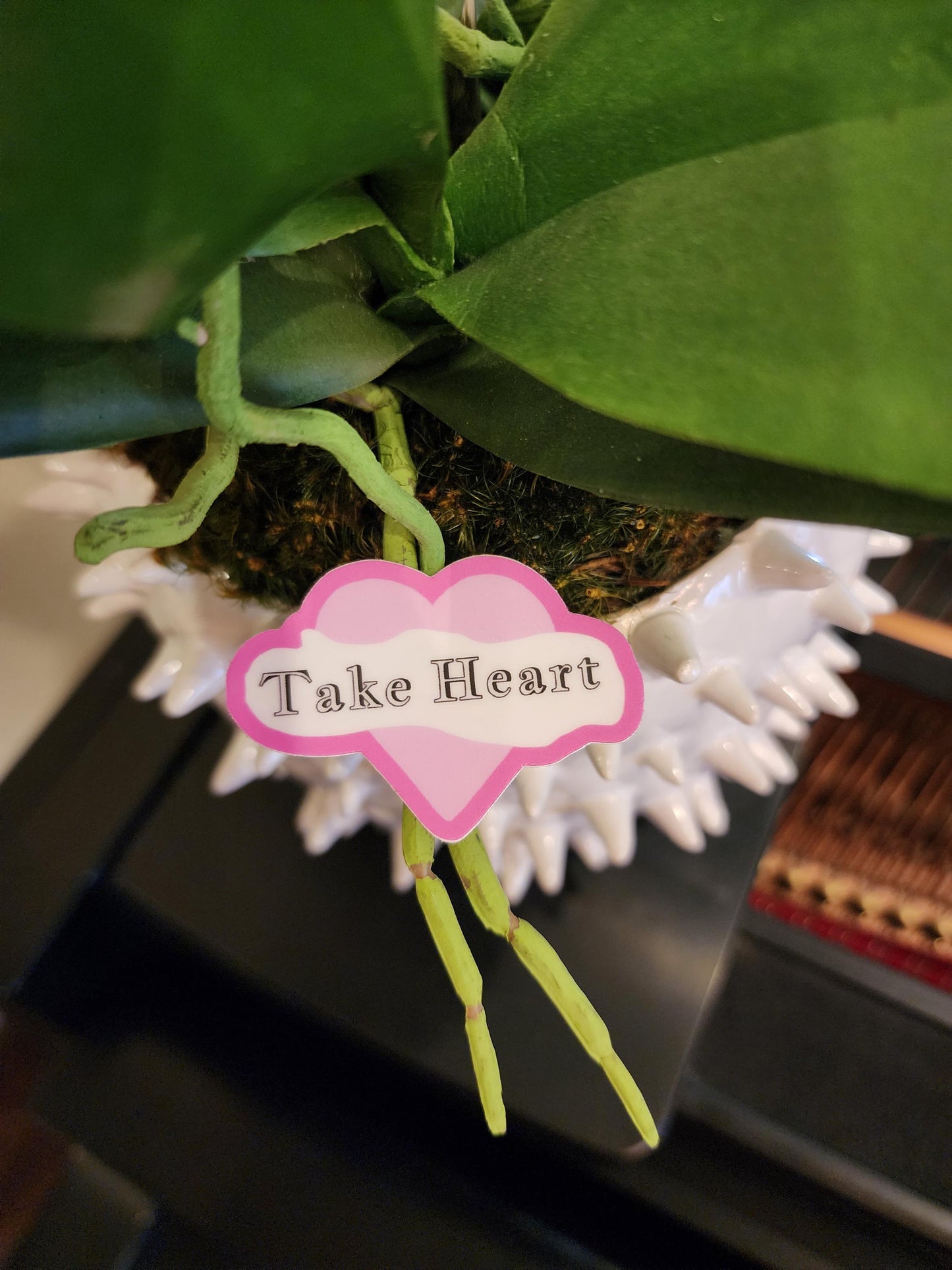 Sticker, Pink Heart with Message, "Take Heart," Vinyl, Die-Cut, 2 Inches