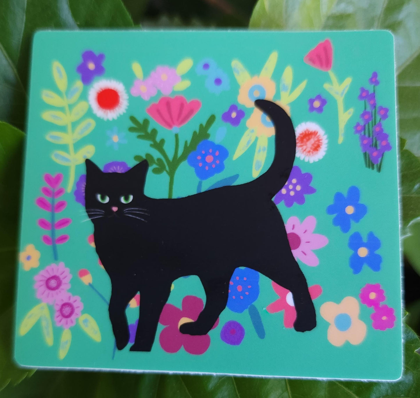 Sticker, Black Cat on Floral or Bows, Vinyl, 3 Inch Square