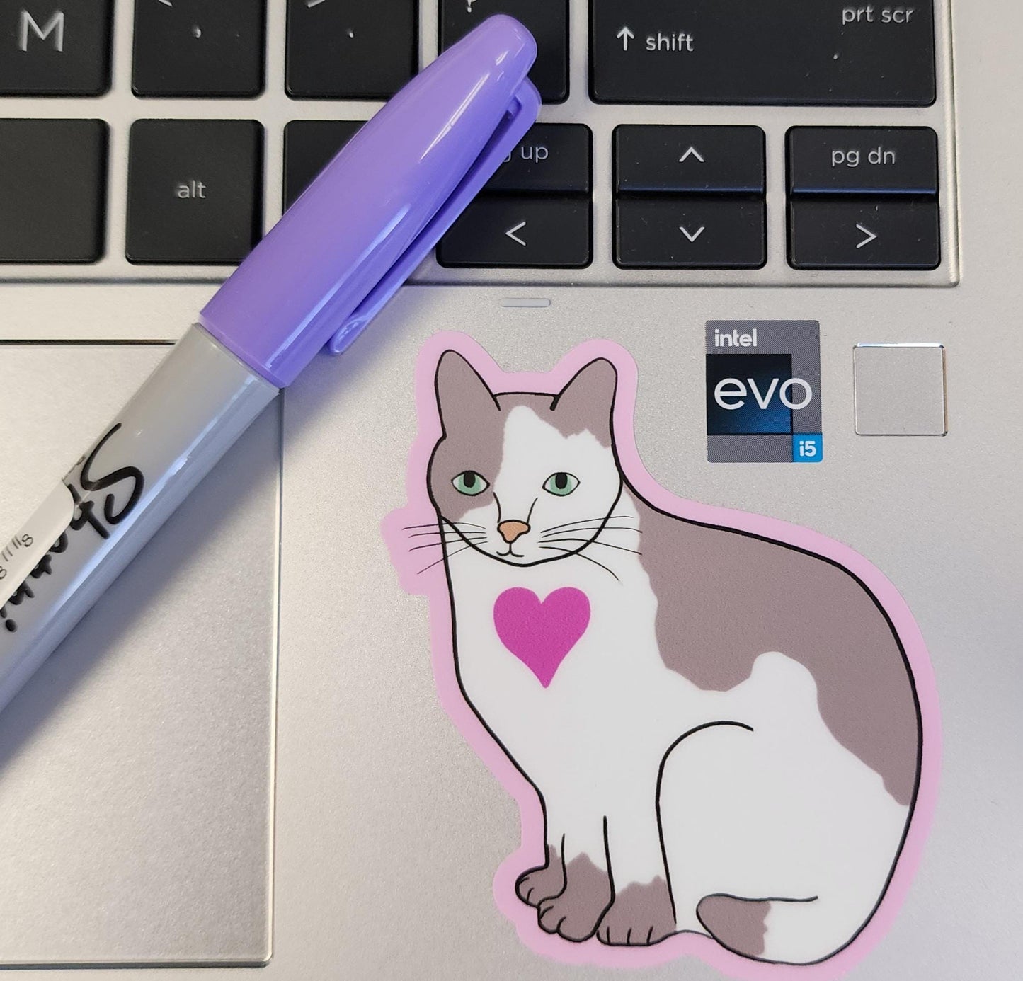 Sticker, Gray and White Cat With heart on Pink Border, Kiss-Cut, Vinyl, 3 Inch