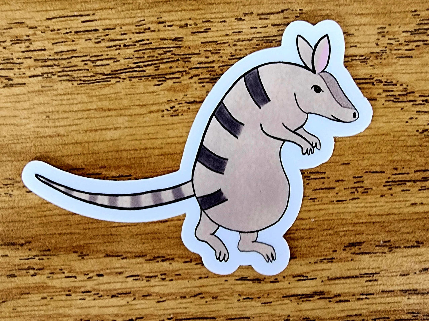 Sticker, Armadillo Creeping Design, Vinyl, 2 Inches