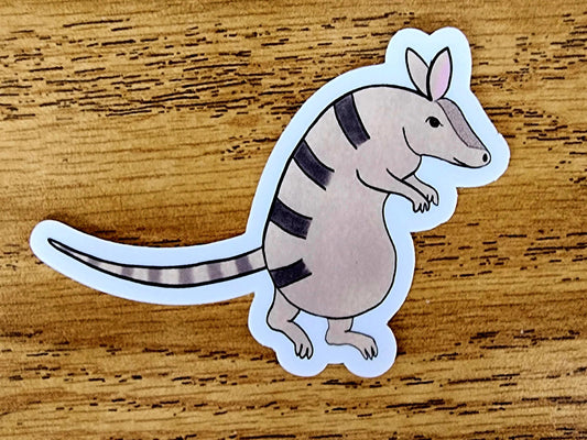 Sticker, Armadillo Creeping Design, Vinyl, 2 Inches